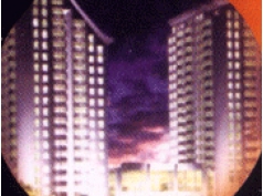 舒至家園